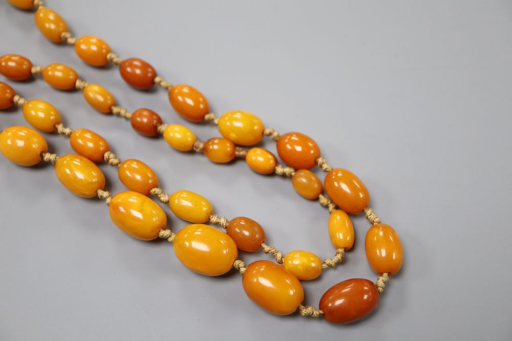 A single strand graduated oval amber bead necklace, 84cm, gross 40 grams.